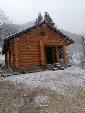 Фото номера Шале с одной спальней Гостевой дом Pensiunea Lupul Dacic г. Costeşti 5